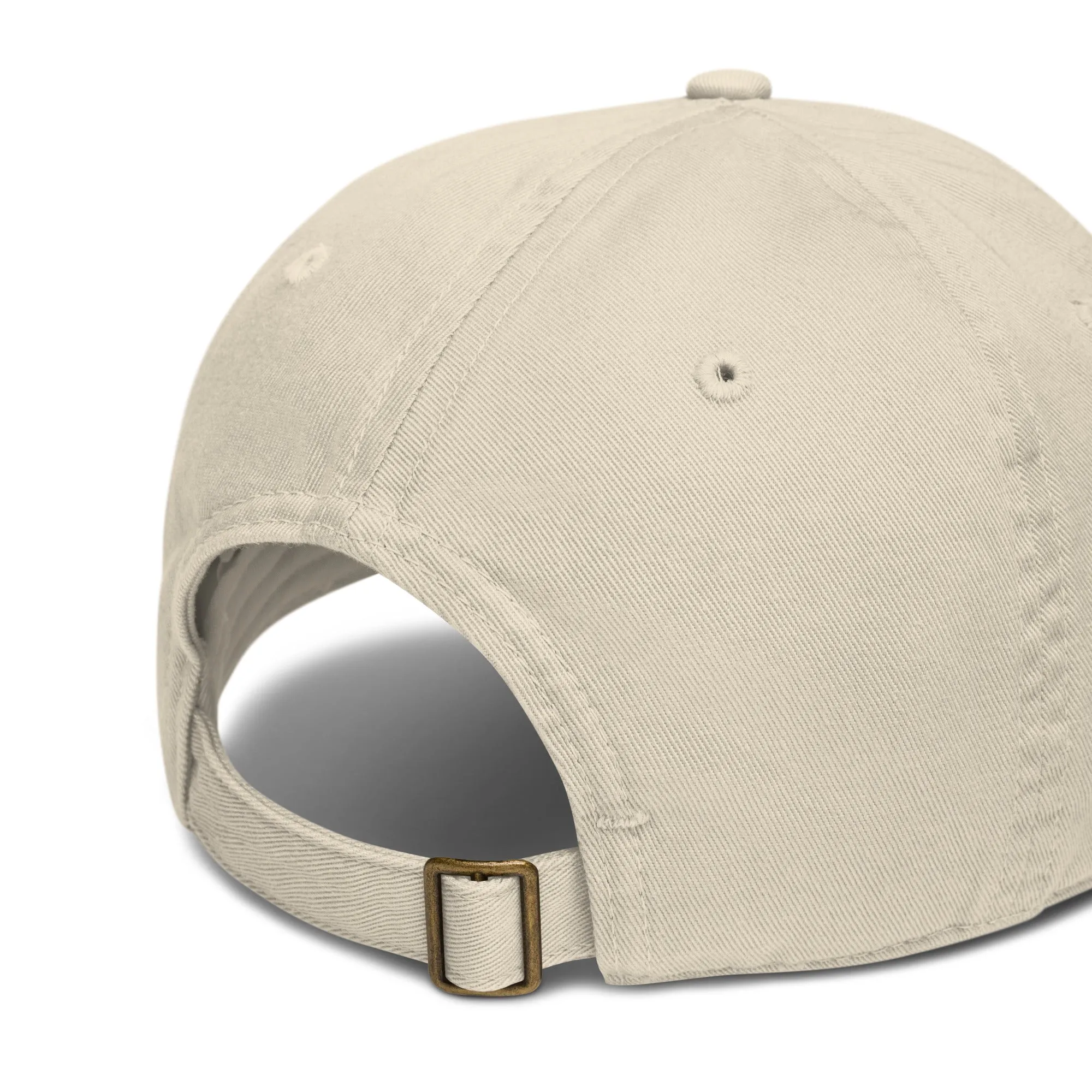 'Just Another Data Point' Baseball Cap