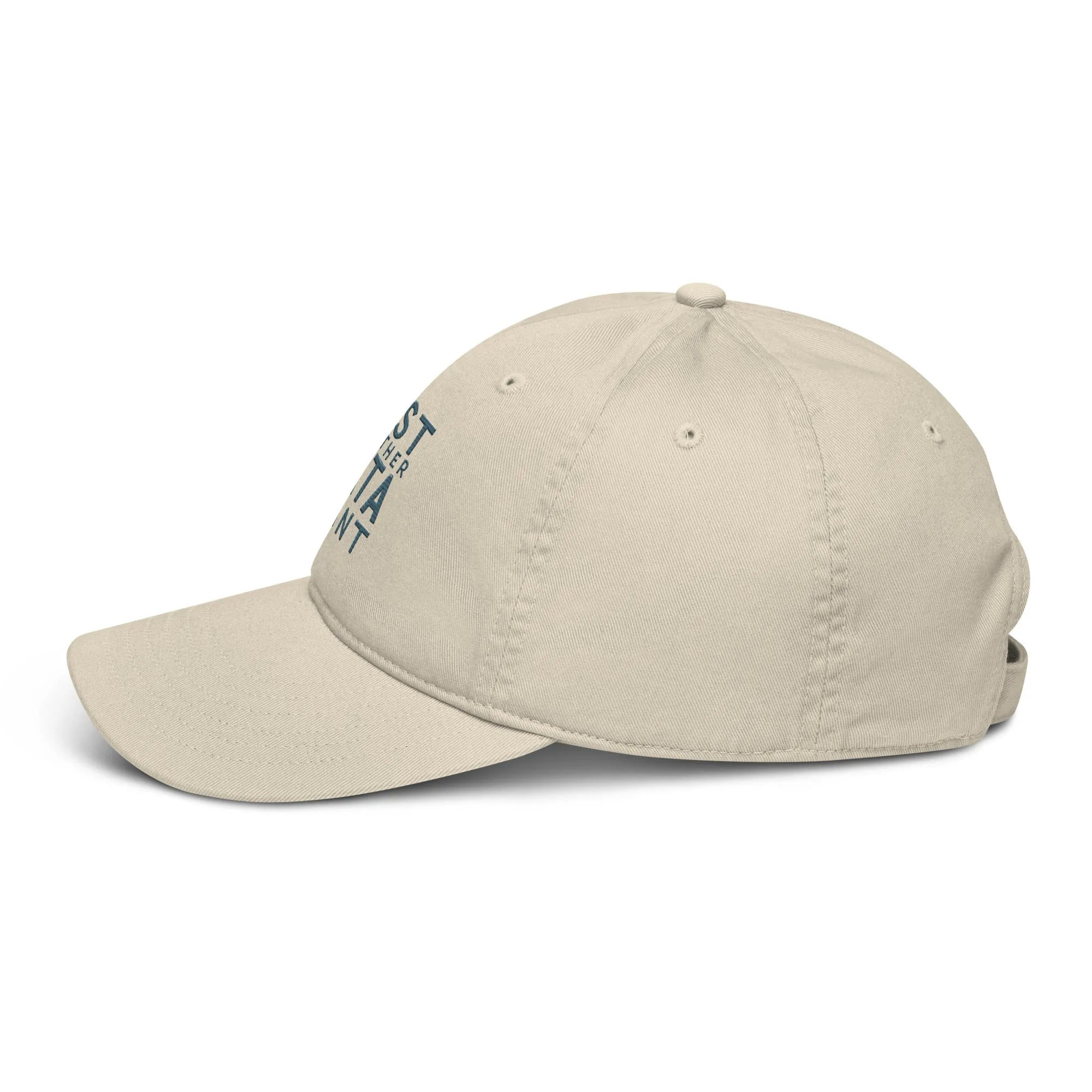 'Just Another Data Point' Baseball Cap